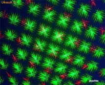 SET DISCO LASER BICOLOR  + MINI glob rotativ+ scaner color   gratis transport !!! foto