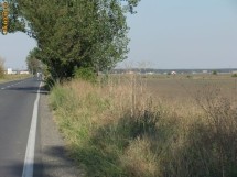 Vand teren intravilan in Tamasi-Corbeanca foto