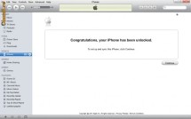 IPHONE 3G, IPHONE 3GS, IPHONE 4, IPHONE 4S - IDENTIFICARE RETEA SI DECODARE (UNLOCK) DEFINITIVA (PERMANENTA) PE BAZA IMEI - PLOIESTI foto