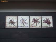 2010 Tarantule serie 4v. foto