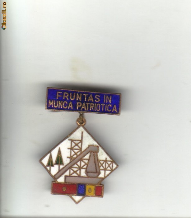 bnk ins fruntas in munca patriotica foto mare