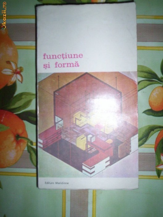 Functiune si forma-NICOLAE LASCU foto mare