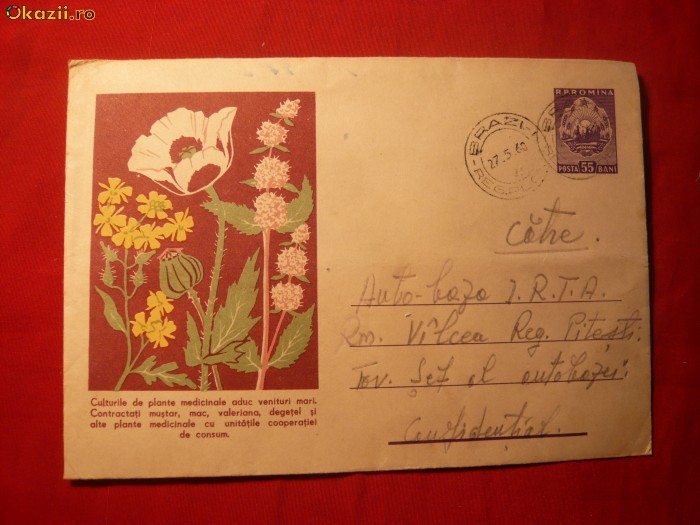 Plic Ilustrat -Intreg - Plante Medicinale -fara cod , cca.1959 foto mare