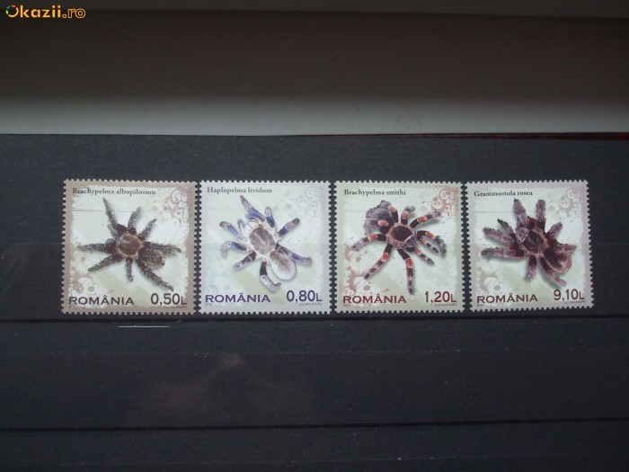2010 Tarantule serie 4v. foto mare