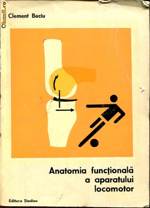 Anticariat Ion Andrei - Anatomia functionala a aparatului locomotor - Autor : Clement Baciu - 95790 foto mare