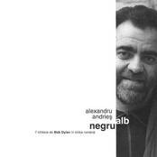 ALEXANDRU ANDRIES - ALB SI NEGRU (CD) foto mare