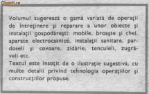 viorel raducu - reparati singuri foto