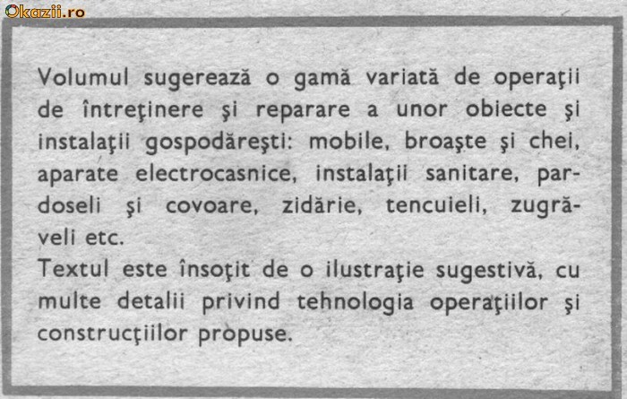 viorel raducu - reparati singuri foto mare